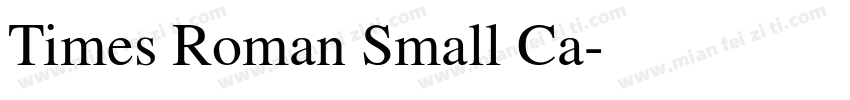 Times Roman Small Ca字体转换